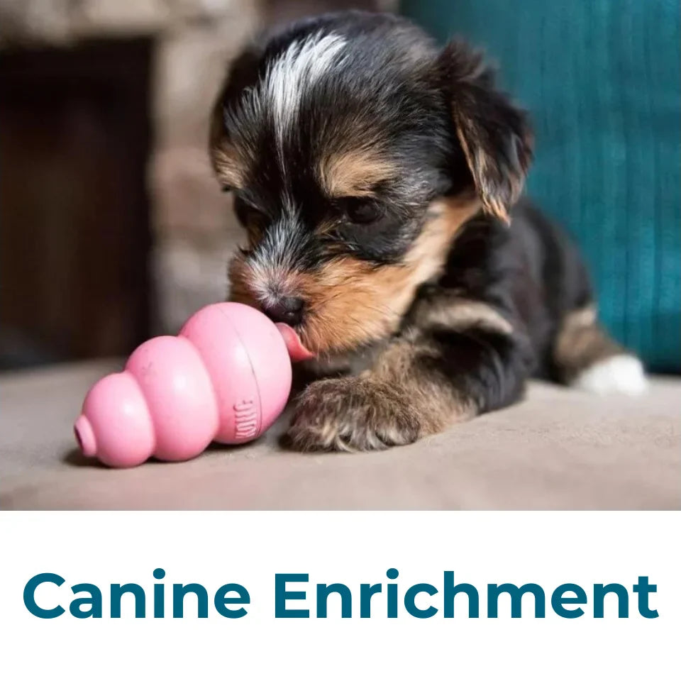 Canine Enrichment