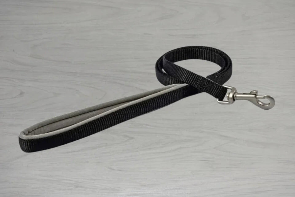 Ancol Nylon Padded Dog Lead