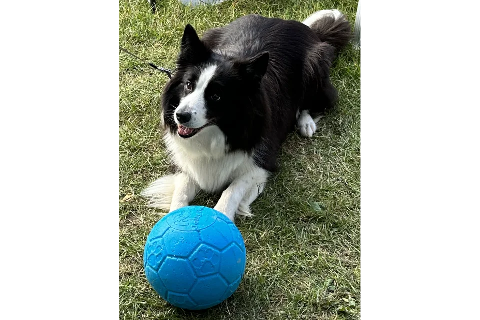 Customer with Jolly Ball