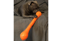 Customer with KONG Squeakstix