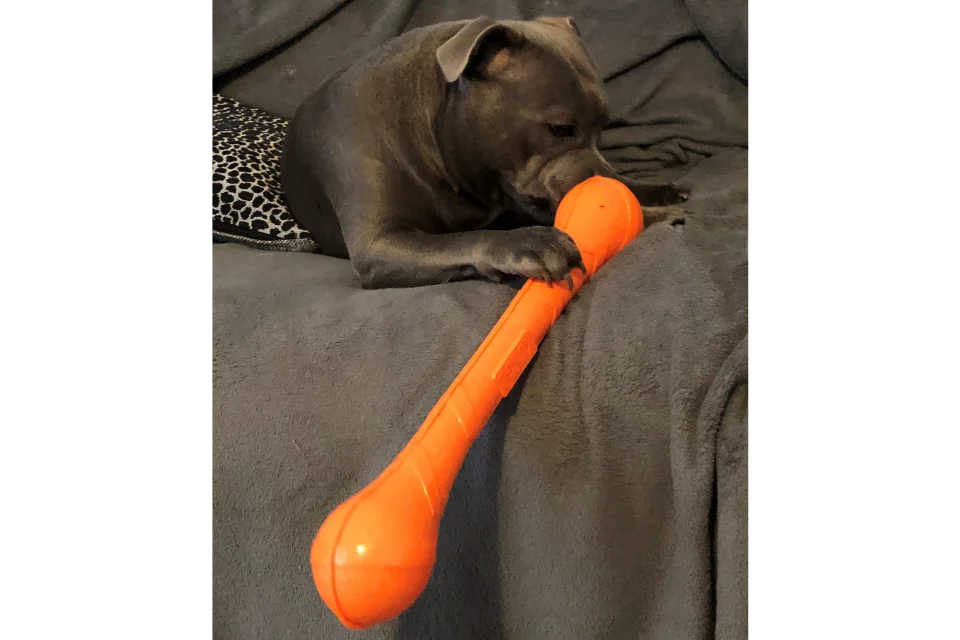 Customer with KONG Squeakstix