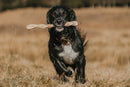 Dog with Braided Beef Skin Large