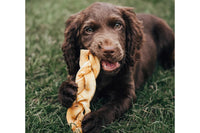 Dog with Braided Beef Skin Medium