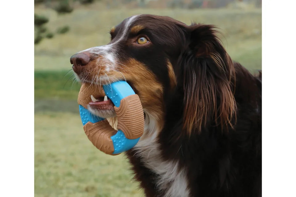 Dog with KONG CoreStrength Bamboo Bone