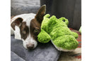 Dog with KONG Cozie Ali Alligator Toy