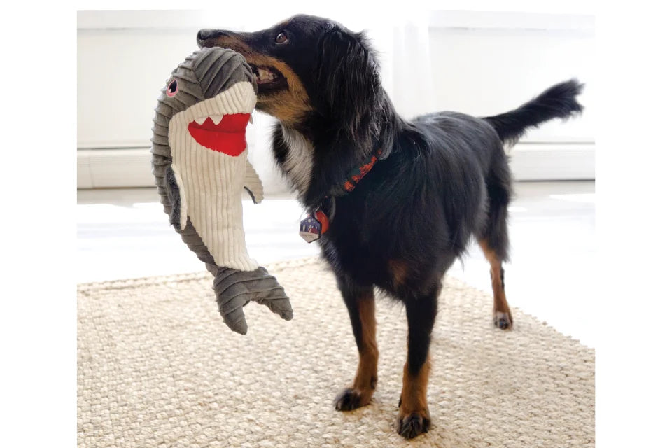 Dog with KONG Cuteseas Rufflez Shark