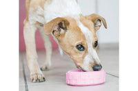 Dog with KONG Puppy Tires Toy