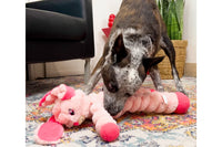 Dog with KONG Shakers Crumples Bunny Toy