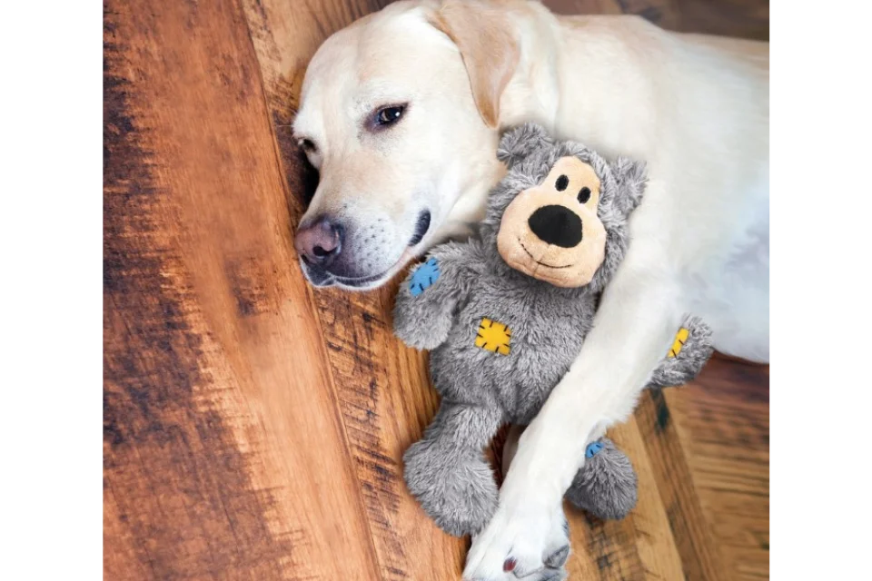 Dog with KONG Wild Knots Bear