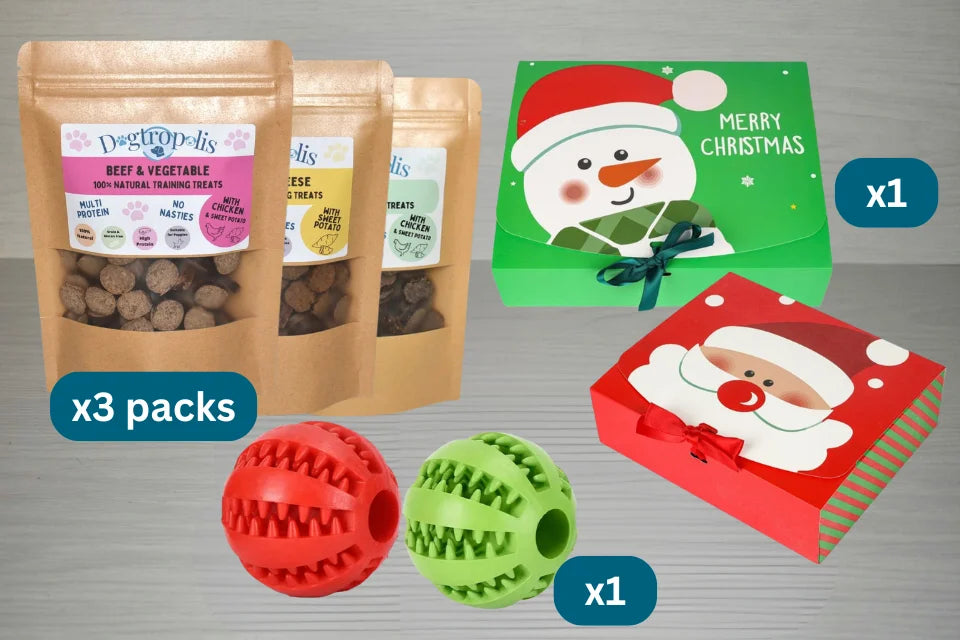 Festive Training Treats Gift Box + Ball