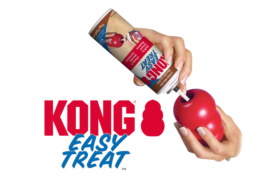 KONG Easy Treat