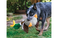 Dog with KONG Shakers Honkers Duck