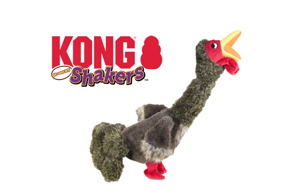 KONG Shakers Homkers