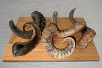 Lamb Horns for Dogs