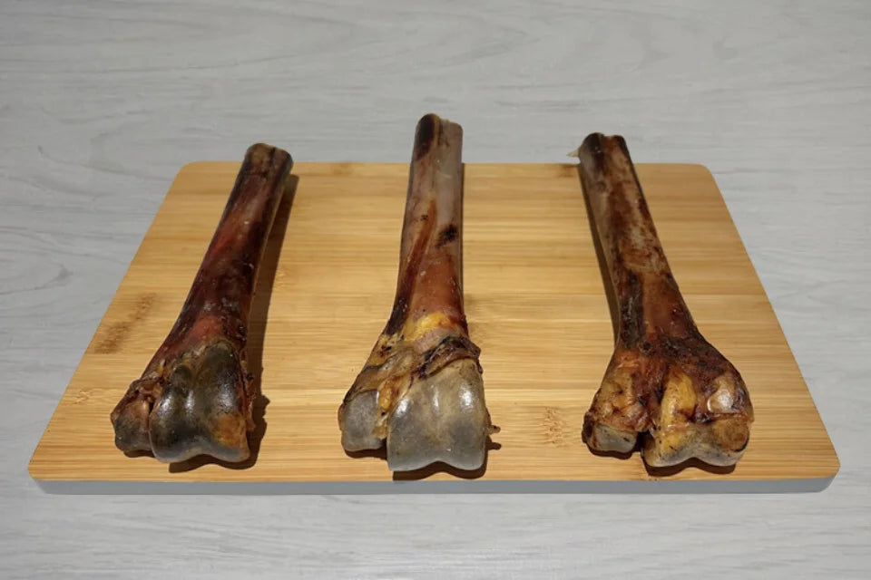 Ostrich Metatarsus Bone