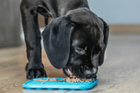 Puppy with Lick Mat