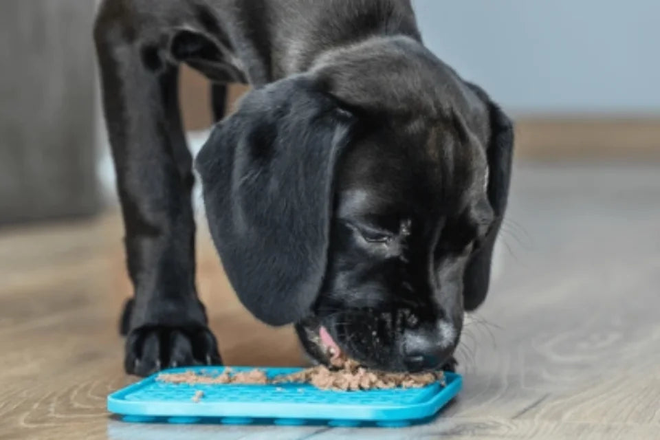 Puppy with Lick Mat