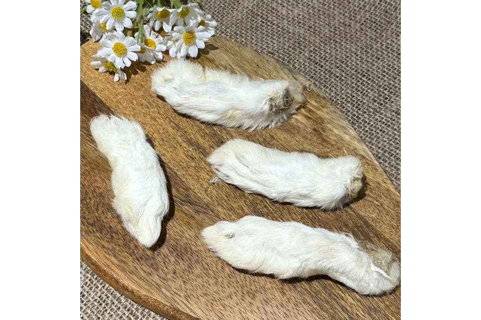 Rabbit Feet