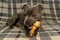 Staffie with Bully Roll