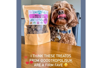 Training Treats Review