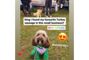 Social Media Pic for Turkey Sausages