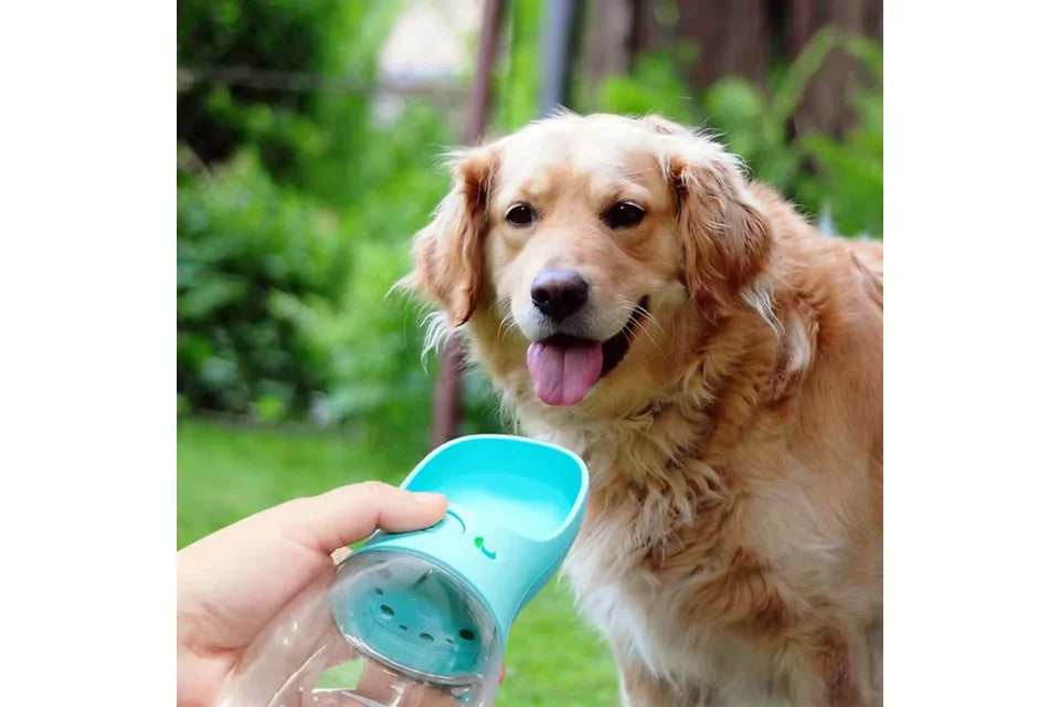 Dog with Water Bottle